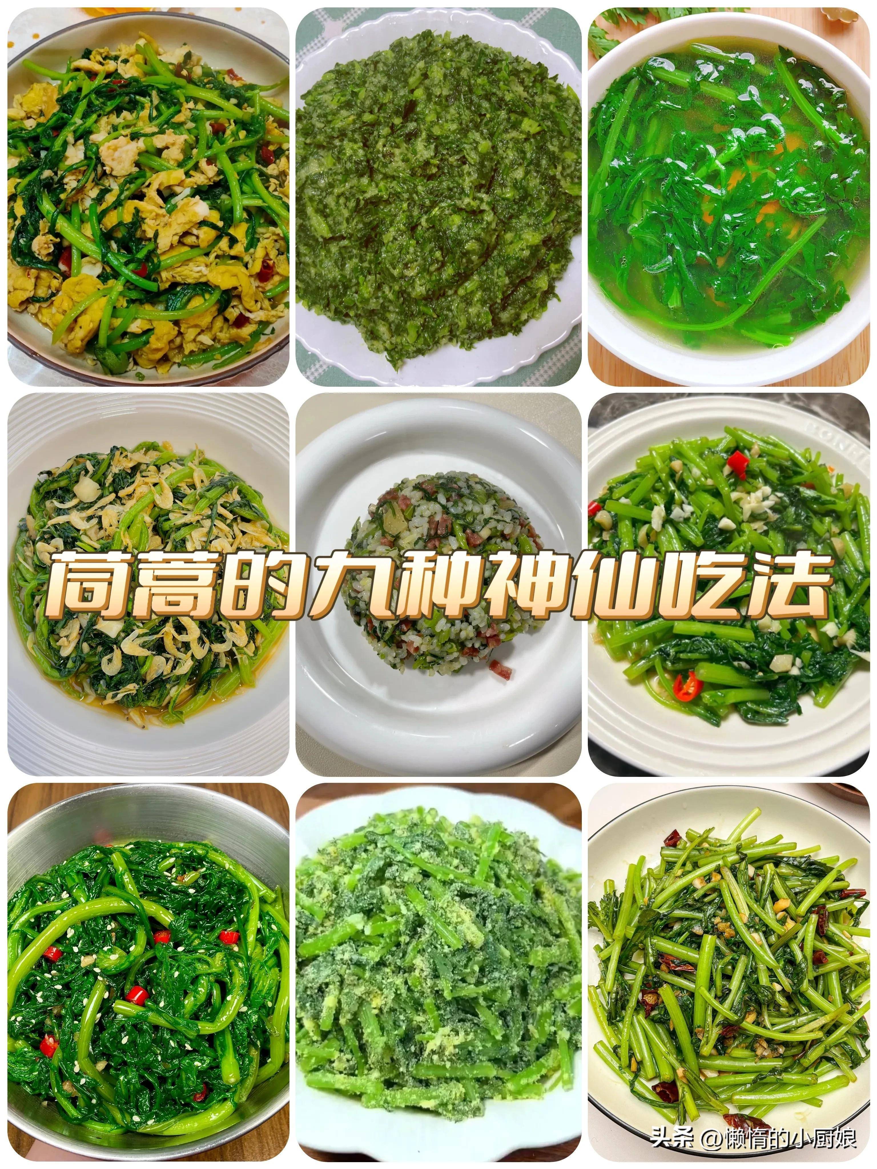 蒿菜的家常做法大全(茼蒿菜的九种家常做法)